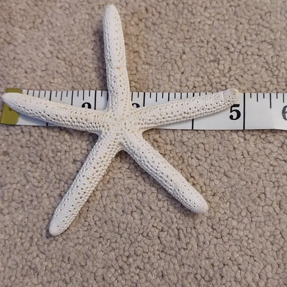 Star fish and sea shell tea light holder - Picture 3 of 8